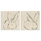 Stupell Industries Minimalist Resting Rabbit Line Drawing 2 pc Canvas Wall Art Set Design by June Erica Vess